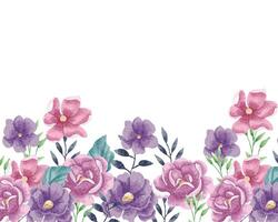 Purple and Pink Rose Watercolor Flower Background vector