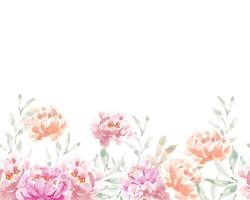 Pink and Pastel Watercolor Peony Background vector