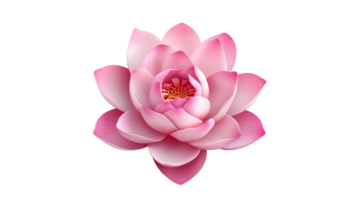 ai generado loto flor cortar afuera. rosado loto flor en transparente antecedentes png