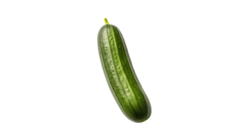 AI generated Isolated cucumber cut out. Cucumber vegetable on transparent background png