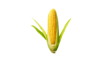 AI generated Yellow corn cut out. Isolated corn on transparent background png