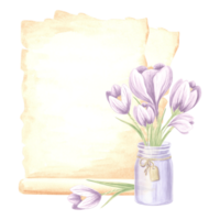 Watercolor composition papyrus, aged sheets of paper with bouquet of violet crocuses flowers in glass jar with tag. Isolated hand drawn illustration template for cards, packaging , textile, sticker. png