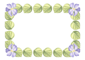 Horizontal frame from wild violets with green leaves. Isolated hand drawn watercolor illustration of spring pansy flower blossom. Template with copy space for postcard of Mothers day, 8 March, wedding png