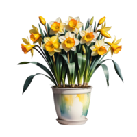 AI generated Large bush of yellow daffodils in a clay pot isolated on PNG background.