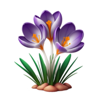 AI generated Beautiful purple crocus flowers isolated on PNG background.