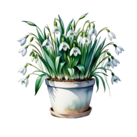 AI generated Large bush of snowdrops in a clay pot isolated on PNG background.