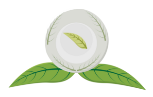 boule de cristal et feuilles png