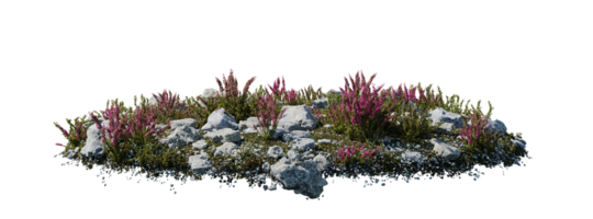 runda yta lappa täckt med blommor, grön eller torr gräs isolerat på vit bakgrund. realistisk naturlig element för design. ljus 3d illustration. png