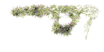 schön Efeu Grün und Blume png