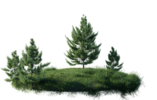 Round surface of Small Pine forest patch covered with flowers, green or dry grass isolated on transparent background. Realistic natural element for design. Bright 3d png