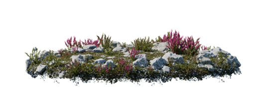 ronde oppervlakte lap gedekt met bloemen, groen of droog gras geïsoleerd Aan wit achtergrond. realistisch natuurlijk element voor ontwerp. helder 3d illustratie. png