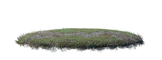 il giro superficie toppa coperto con fiori, verde o asciutto erba isolato su bianca sfondo. realistico naturale elemento per design. luminosa 3d illustrazione. png