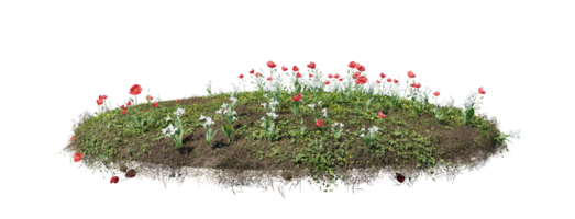 redondo superficie de pequeño planta bosque parche cubierto con flores, verde o seco césped aislado en transparente antecedentes. realista natural elemento para diseño. brillante 3d png