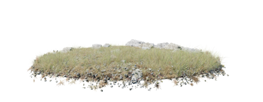 runden Oberfläche von klein Pflanze Wald Patch bedeckt mit Blumen, Grün oder trocken Gras isoliert auf transparent Hintergrund. realistisch natürlich Element zum Design. hell 3d png