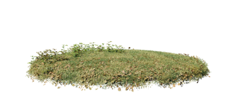 volta superfície do pequeno plantar floresta fragmento coberto com flores, verde ou seco Relva isolado em transparente fundo. realista natural elemento para Projeto. brilhante 3d png