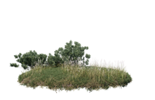 Round surface of Small Plant forest patch covered with flowers, green or dry grass isolated on transparent background. Realistic natural element for design. Bright 3d png