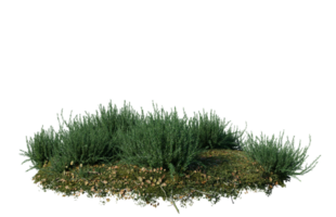 Round surface of Small Plant forest patch covered with flowers, green or dry grass isolated on transparent background. Realistic natural element for design. Bright 3d png