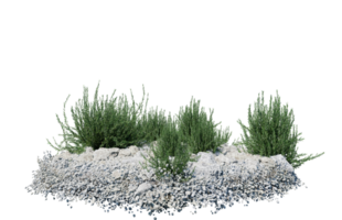 Round surface of Small Plant forest patch covered with flowers, green or dry grass isolated on transparent background. Realistic natural element for design. Bright 3d png