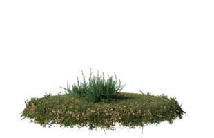 Round surface of Small Plant forest patch covered with flowers, green or dry grass isolated on transparent background. Realistic natural element for design. Bright 3d png