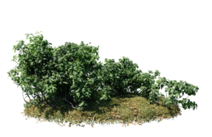 Round surface of Small Plant forest patch covered with flowers, green or dry grass isolated on transparent background. Realistic natural element for design. Bright 3d png