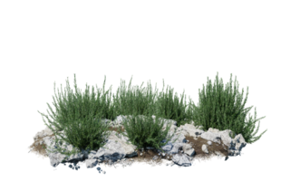 Round surface of Small Plant forest patch covered with flowers, green or dry grass isolated on transparent background. Realistic natural element for design. Bright 3d png