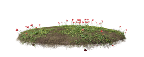 rond surface de petit plante forêt pièce couvert avec fleurs, vert ou sec herbe isolé sur transparent Contexte. réaliste Naturel élément pour conception. brillant 3d png
