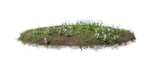 Round surface of Small Plant forest patch covered with flowers, green or dry grass isolated on transparent background. Realistic natural element for design. Bright 3d png