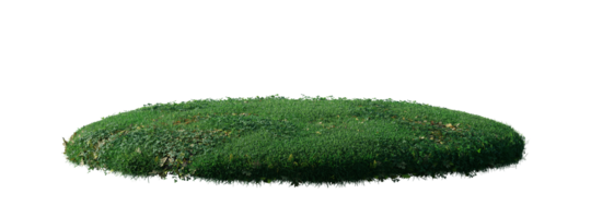 ronde oppervlakte lap gedekt met bloemen, groen of droog gras geïsoleerd Aan wit achtergrond. realistisch natuurlijk element voor ontwerp. helder 3d illustratie. png