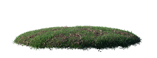 runda yta lappa täckt med blommor, grön eller torr gräs isolerat på vit bakgrund. realistisk naturlig element för design. ljus 3d illustration. png