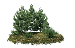 il giro superficie di piccolo pianta foresta toppa coperto con fiori, verde o asciutto erba isolato su trasparente sfondo. realistico naturale elemento per design. luminosa 3d png