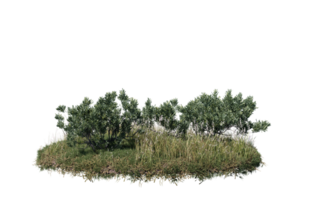 Round surface of Small Plant forest patch covered with flowers, green or dry grass isolated on transparent background. Realistic natural element for design. Bright 3d png