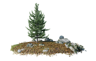 il giro superficie di piccolo pianta foresta toppa coperto con fiori, verde o asciutto erba isolato su trasparente sfondo. realistico naturale elemento per design. luminosa 3d png