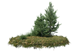 rond surface de petit plante forêt pièce couvert avec fleurs, vert ou sec herbe isolé sur transparent Contexte. réaliste Naturel élément pour conception. brillant 3d png