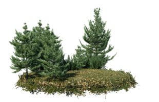 runden Oberfläche von klein Pflanze Wald Patch bedeckt mit Blumen, Grün oder trocken Gras isoliert auf transparent Hintergrund. realistisch natürlich Element zum Design. hell 3d png