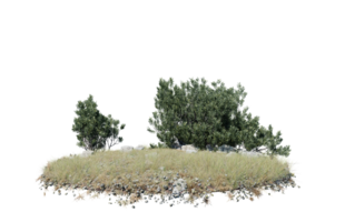 Round surface of Small Plant forest patch covered with flowers, green or dry grass isolated on transparent background. Realistic natural element for design. Bright 3d png