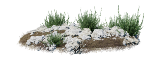 Round surface of Small Plant forest patch covered with flowers, green or dry grass isolated on transparent background. Realistic natural element for design. Bright 3d png