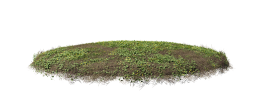 runden Oberfläche von klein Pflanze Wald Patch bedeckt mit Blumen, Grün oder trocken Gras isoliert auf transparent Hintergrund. realistisch natürlich Element zum Design. hell 3d png