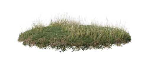 Round surface of Small Plant forest patch covered with flowers, green or dry grass isolated on transparent background. Realistic natural element for design. Bright 3d png