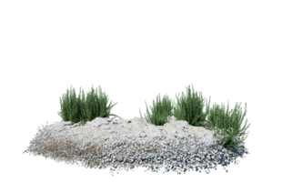 Round surface of Small Plant forest patch covered with flowers, green or dry grass isolated on transparent background. Realistic natural element for design. Bright 3d png