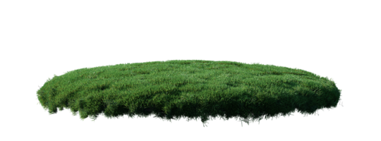 rond surface pièce couvert avec fleurs, vert ou sec herbe isolé sur blanc Contexte. réaliste Naturel élément pour conception. brillant 3d illustration. png