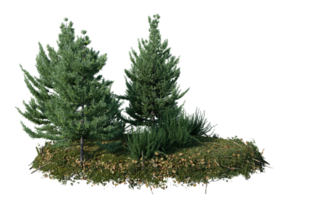 redondo superficie de pequeño planta bosque parche cubierto con flores, verde o seco césped aislado en transparente antecedentes. realista natural elemento para diseño. brillante 3d png