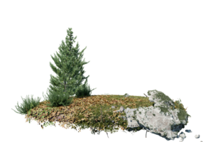 il giro superficie di piccolo pianta foresta toppa coperto con fiori, verde o asciutto erba isolato su trasparente sfondo. realistico naturale elemento per design. luminosa 3d png