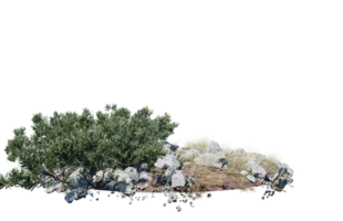 il giro superficie di piccolo pianta foresta toppa coperto con fiori, verde o asciutto erba isolato su trasparente sfondo. realistico naturale elemento per design. luminosa 3d png