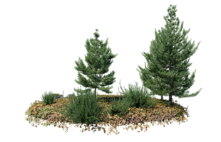 redondo superficie de pequeño planta bosque parche cubierto con flores, verde o seco césped aislado en transparente antecedentes. realista natural elemento para diseño. brillante 3d png