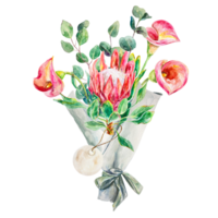 Flower bouquet watercolor. Hand drawn bouquet of pink protea, calla lilies and eucalyptus. Design element for cards, packaging, covers, invitations, labels. png