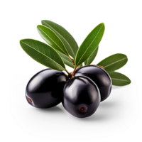 AI generated Black olives with leaves isolated on transparent background png