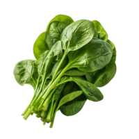 AI generated Bundle of fresh spinach isolated on transparent background png