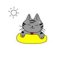 Tabby Katze heiß png