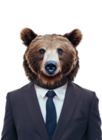 ai gerado antropomórfico Urso vestindo terno em transparente fundo png