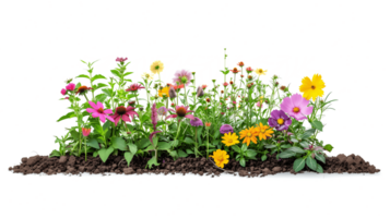 AI generated Colorful Flowers in Soil Isolated on White Background png